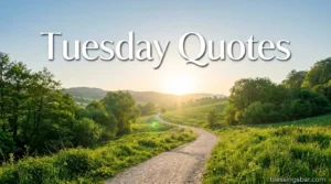 Tuesday Quotes